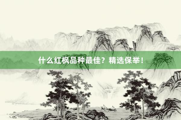 什么红枫品种最佳？精选保举！